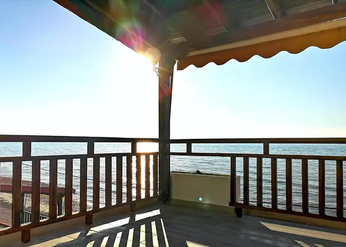 Acrogiali Sunshine 希维利